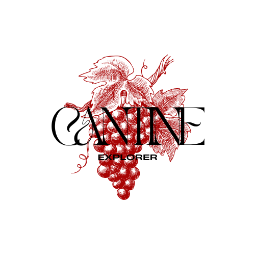 CantineExplorer